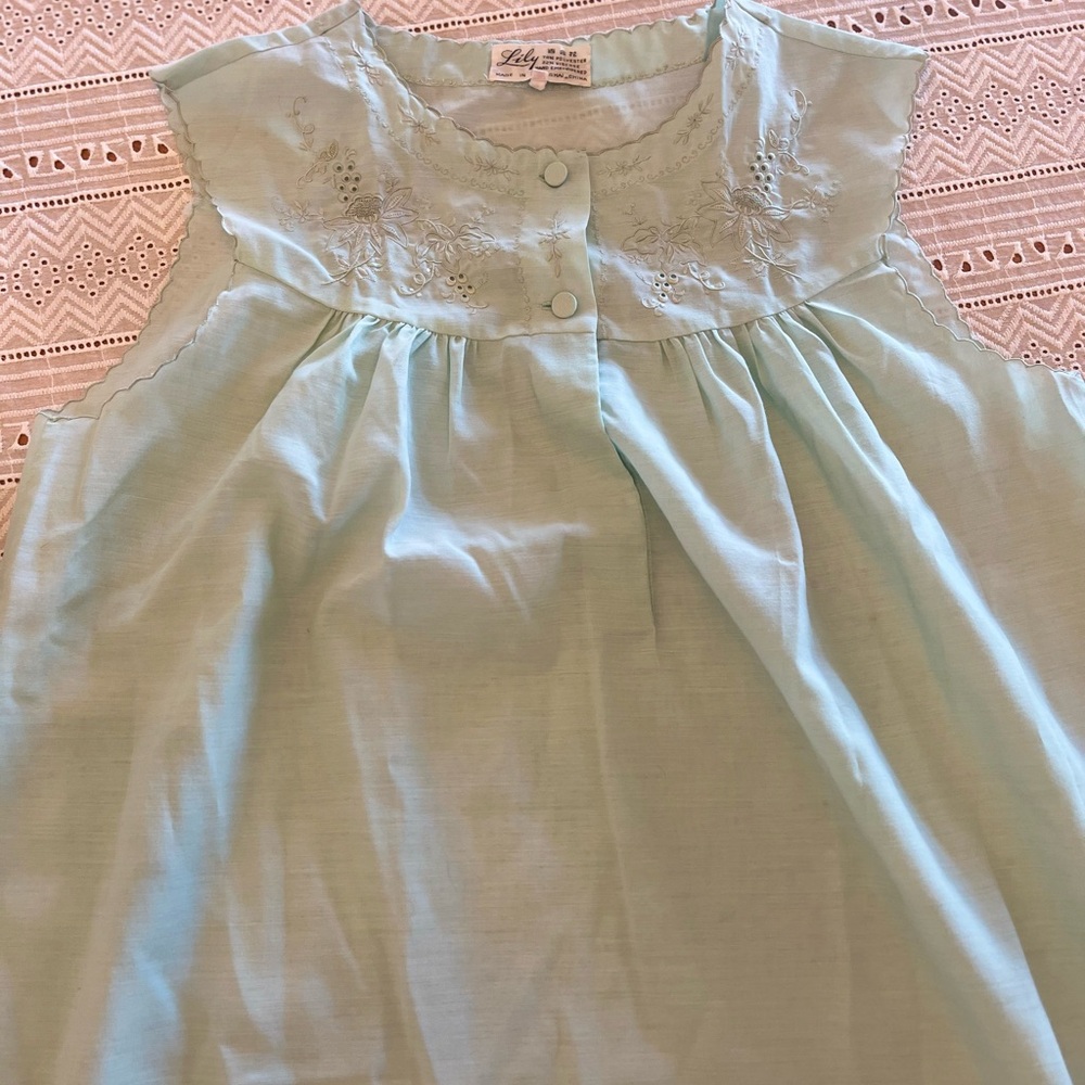Lovely grannycore vintage embroidered nightgown or house dress. Mint in color.